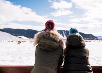 Visit JH - Sleigh Ride