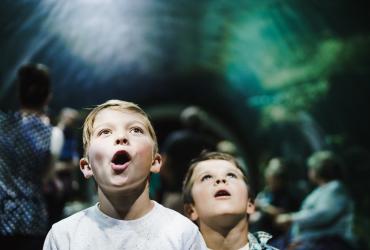 Kids at the Loveland Living Planet Aquarium