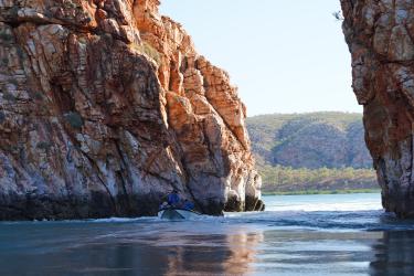 Hori's gap with tender