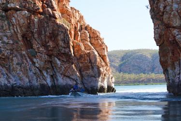 Hori's gap with tender