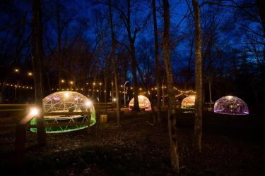 North Forest Lights Snow Globe (2)