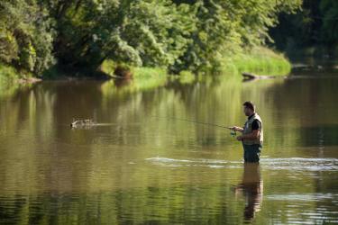 fly fishing on Fox River