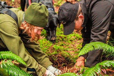 Truffle Hunting