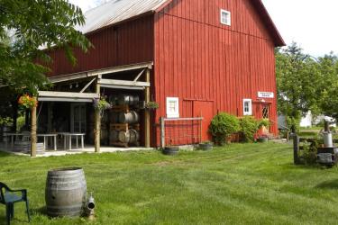 Saginaw Vineyard Tasting Room, Cottage Grove, Willamette Valley by Natalie Inouye