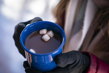 A cup of hot cocoa with marshmallows