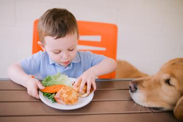 dog and child eating together