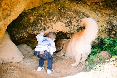 dog and child exploring cave
