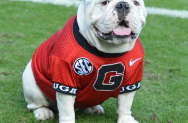 Georgia Bulldogs - The Road to Omaha will begin in Athens! Georgia