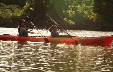 Kayak Family