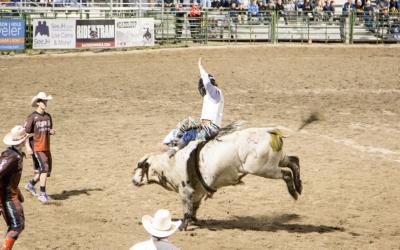 Rodeo