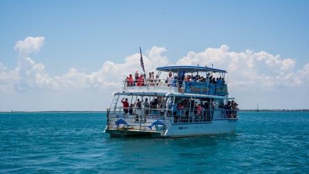 The Original Dolphin Cruise on the Bay