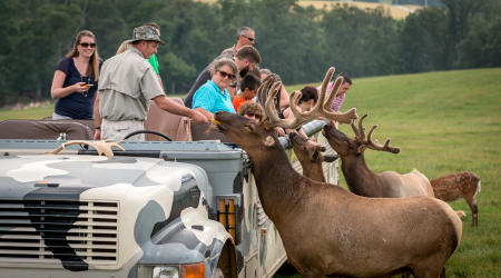 Lake Tobias Safari Tour