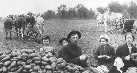 Historical Hoover potato digger