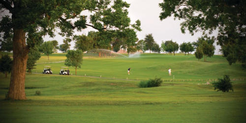Oak Hollow Public Golf Course in McKinney - men on golf course in distance with golf carts