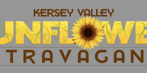 Sunflower Extravaganza