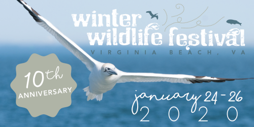 Winter Wildlife Festival