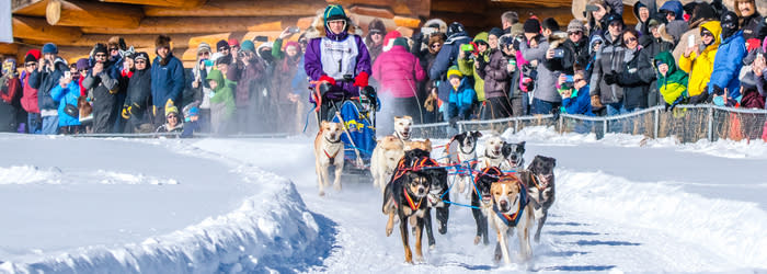Roxy Wright Open North Dog Sled - Cropped