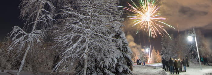 Fireworks Winter Fest Cropped