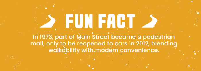 Fun Fact Downtown