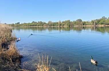 Fishing in Heyburn Lake Area