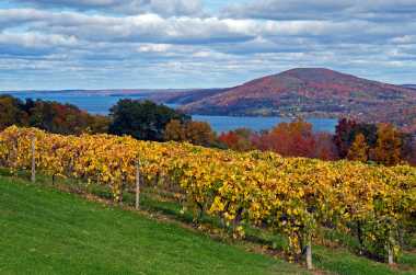 New York Wineries Wine Trails Tours Tasting Rooms
