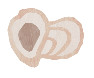 Bluff Oyster icon