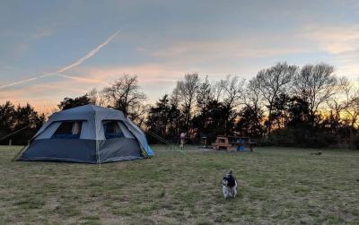 tent at Erwin Park