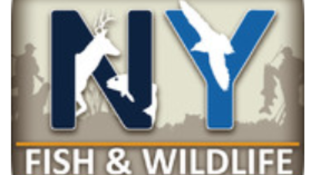 Hunting In New York Find Info Resources Guides