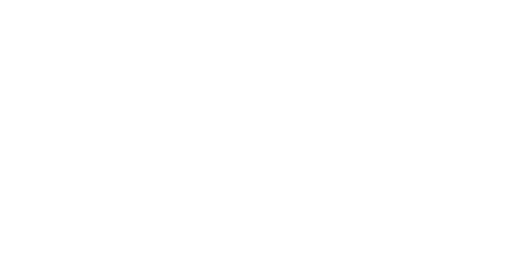 Railbird Logo