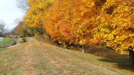 Vandalia Trail in autumn
