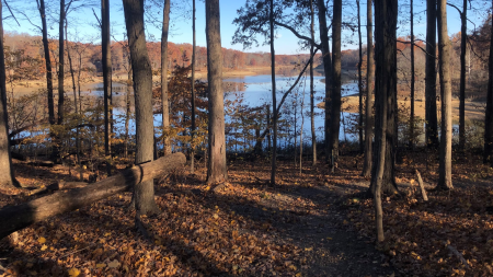 Raccoon Lake is full of trees providing gorgeous fall foliage. (Photo courtesy of Raccoon Lake Facebook page)
