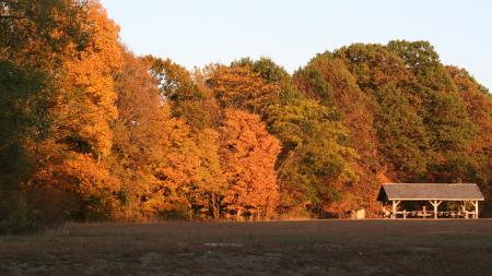 Fall Foliage at McCloud Nature Park