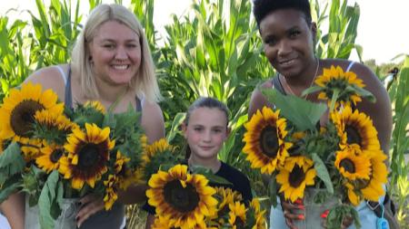 Pails of Sunflowers at Beasley's Orchard