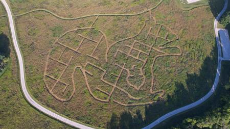 The 2023 McCloud Prairie Maze: a squirrel!