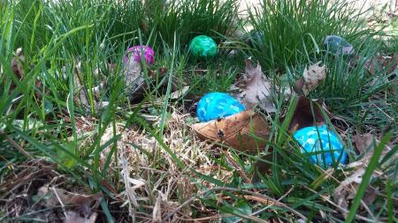 Can you find the camouflaged eggs in W.S. Gibbs Memorial Park in Avon?