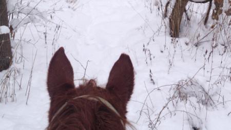 Winter horseback ride at Natural Valley Ranch