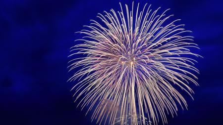 Fireworks will light up the night sky at Hummel Park in Plainfield on July 4.