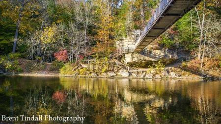 Turkey Run State Park (Photo by Brent Tindall Photography)