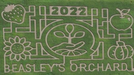 Beasley's Orchard corn maze 2022