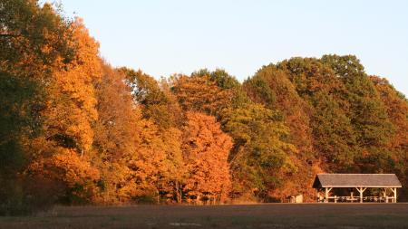 The fall foliage at McCloud Nature Park is quite spectacular!