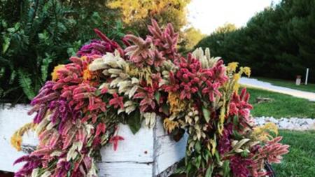 Celosia wreath courtesy of Rue de Fleurs