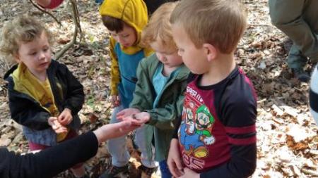 Salamanders at McCloud Nature Park