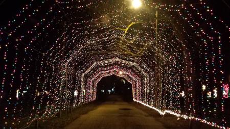 Winterland Light Show Tunnel 