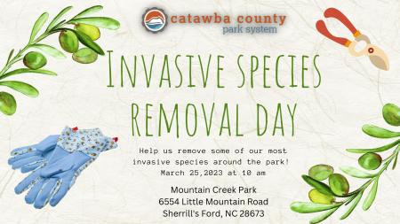 Invasive Species Removal Day