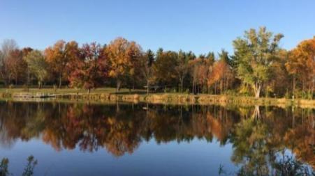 Fall Color