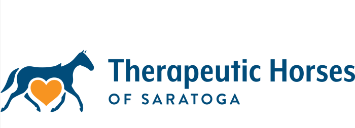 THS Logo