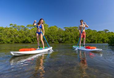 Couple paddling near mangroves in Punta Gorda/Englewood Beach