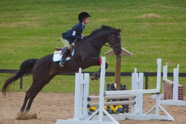 A horse and rider jumping during a competition