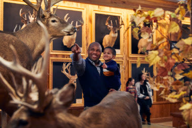 Wonders-of-Wildlife-Bucks-and-Bulls-family-380x254