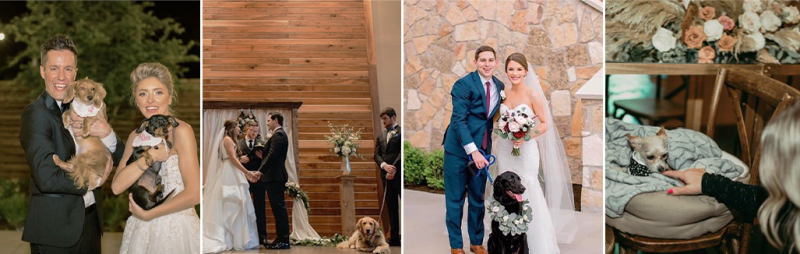 Couples at Verona Villa with dogs at their wedding